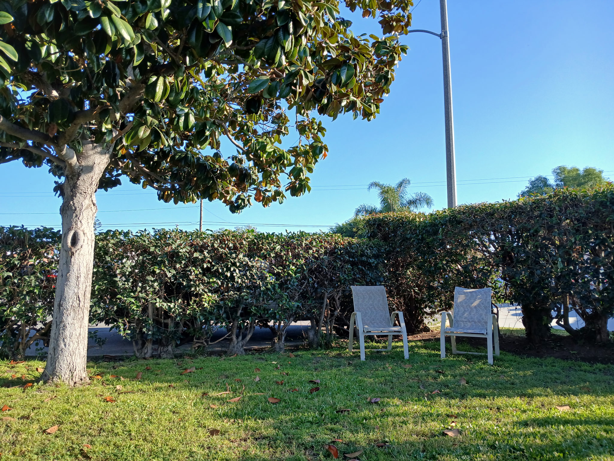 Front view of the property yard